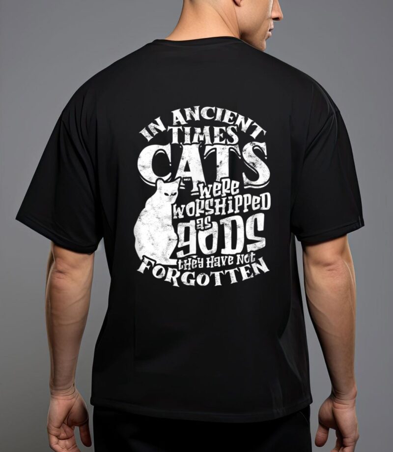 In ancient times cats were worshipped as gods they have not t-shirt T-Shirt